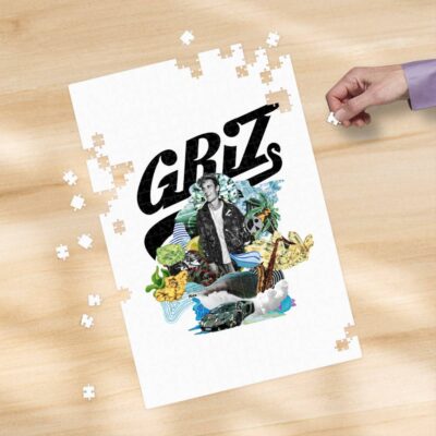 Griz Puzzle Ride Waves Tour Puzzle